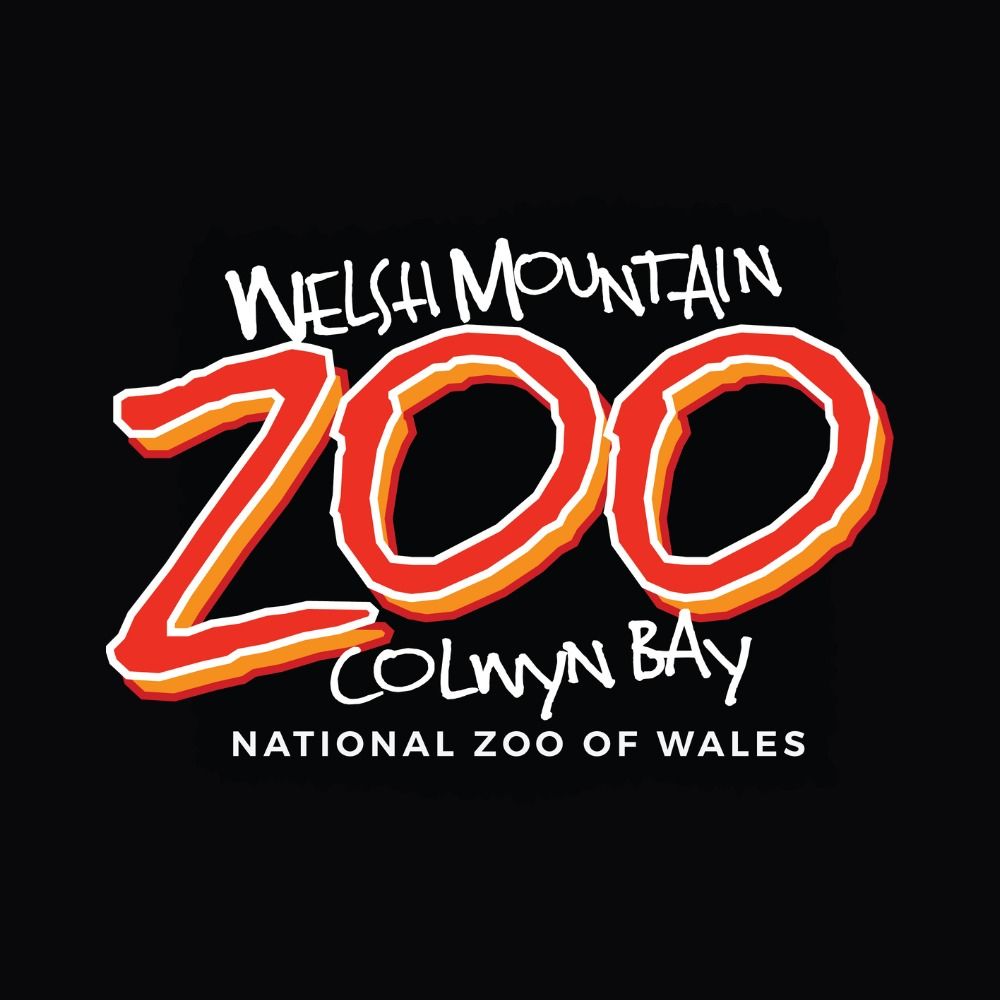 Welsh Mountain Zoo's avatar