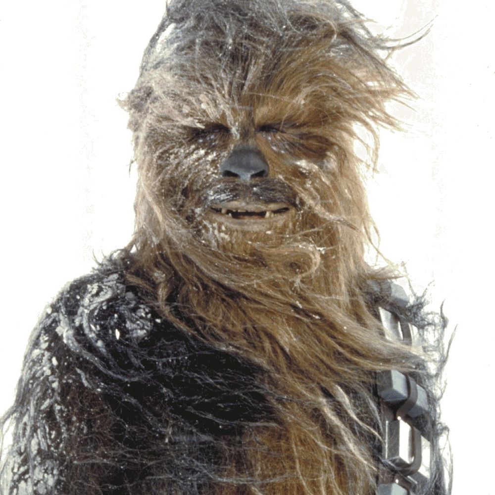 Chewy