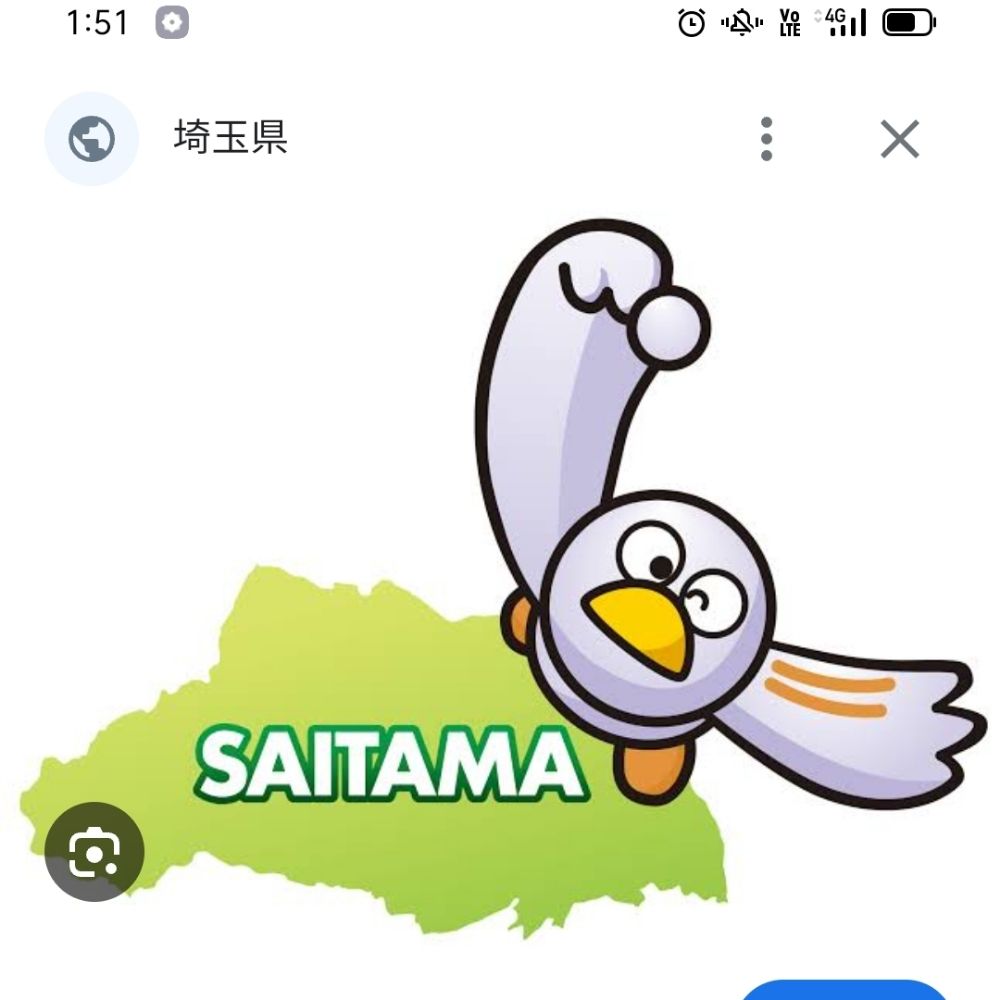 アヒル