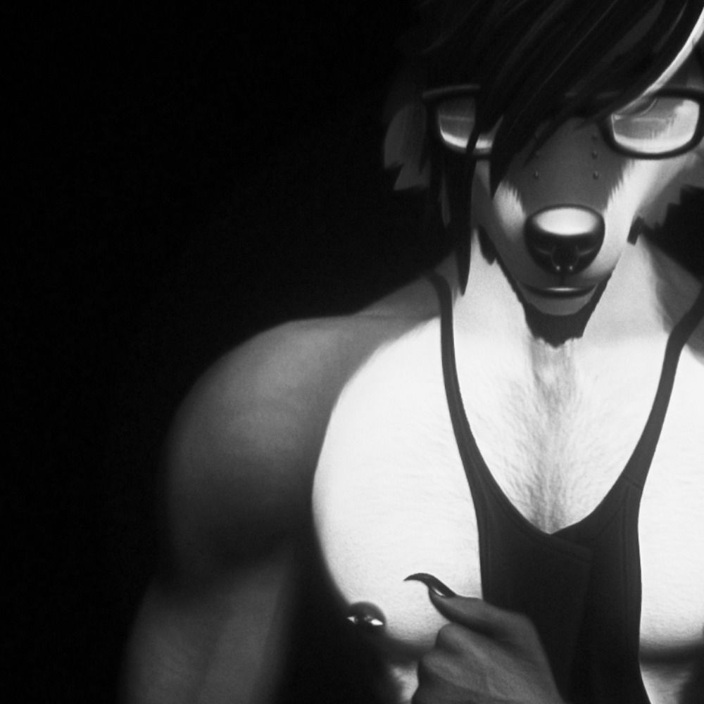 DorkDog