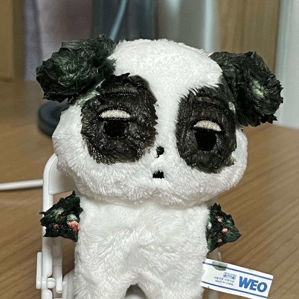 เก่วเก๊ว  🐻🌈