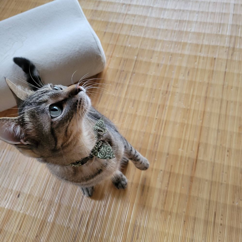 グナクラ
