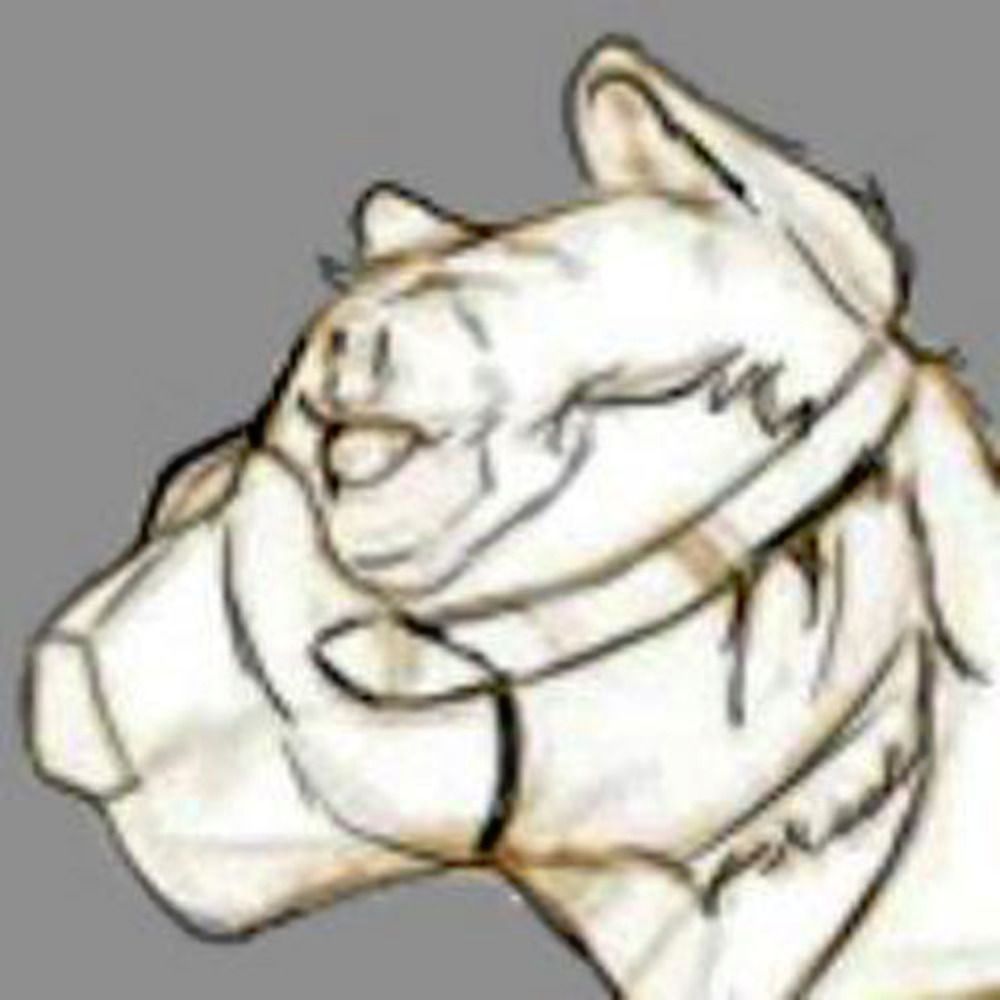 Tiger guy