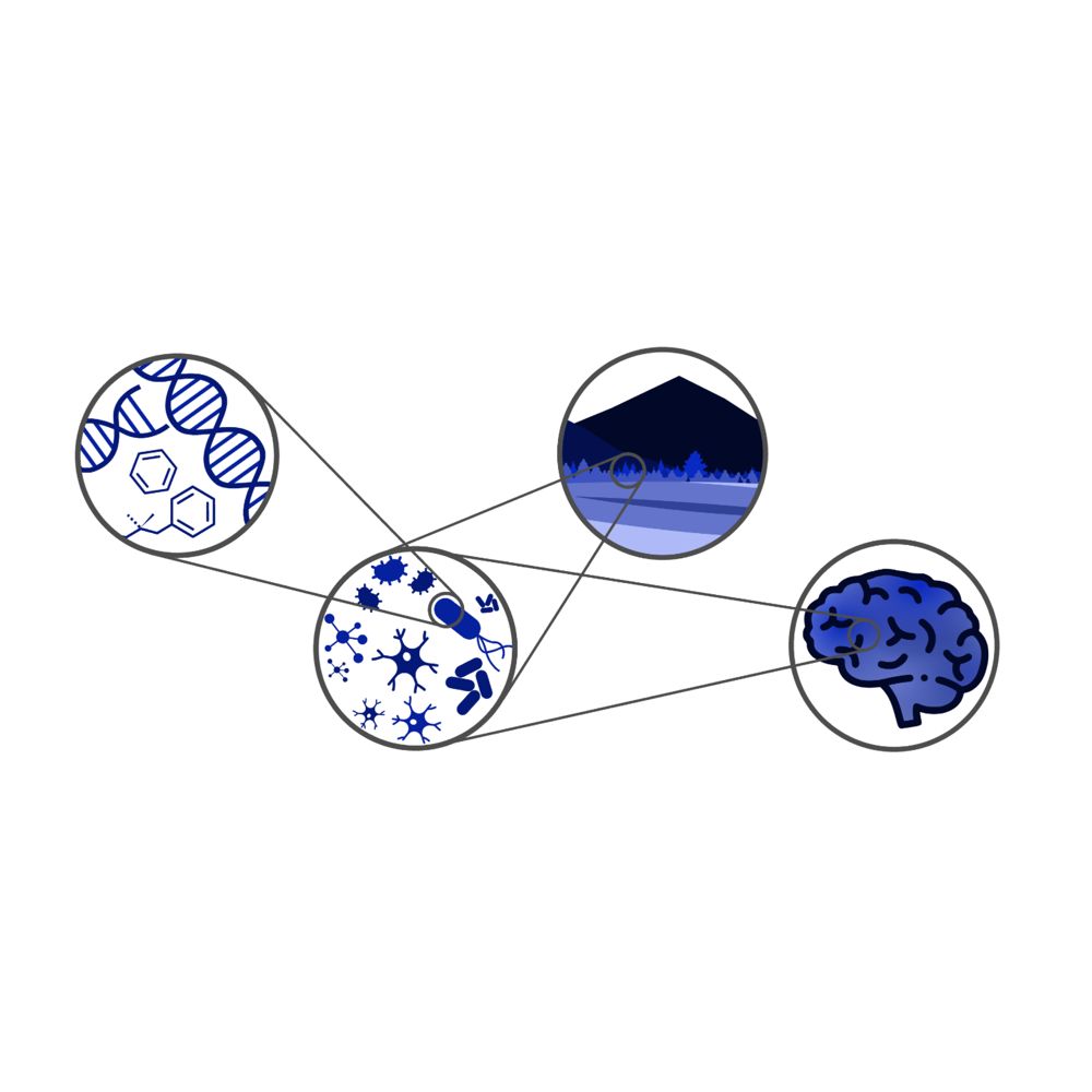 Lab of Interdisciplinary Physics