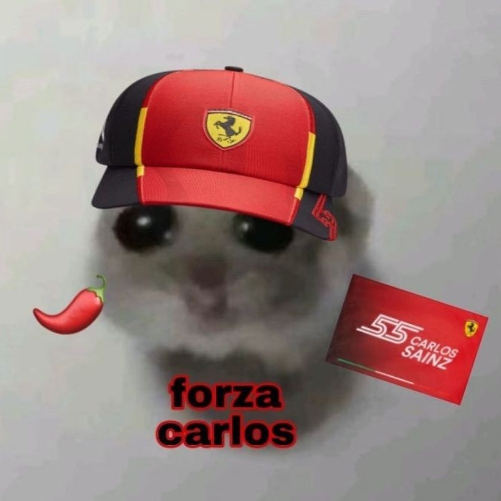Silvia🌶️