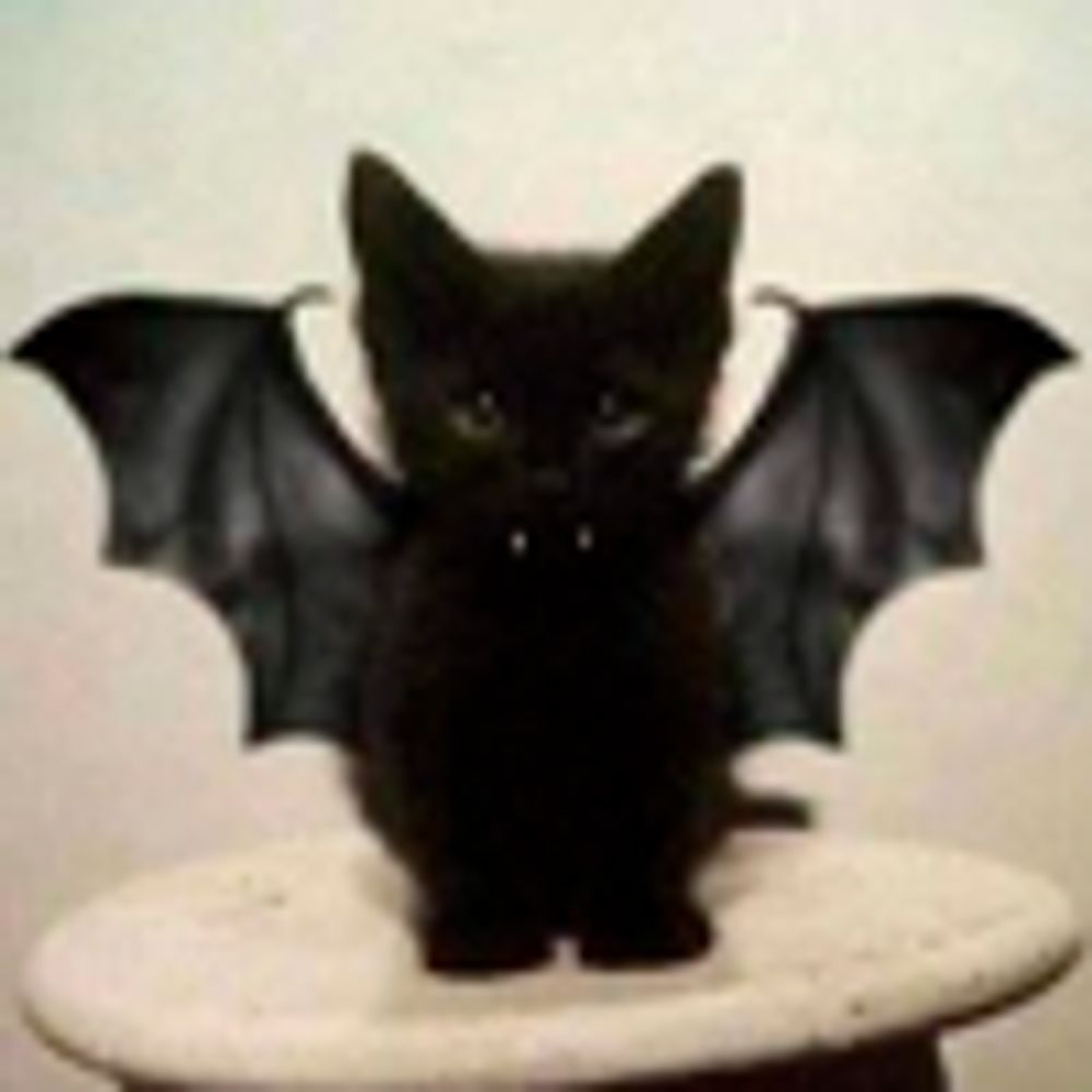 morigoeshard.bsky.social