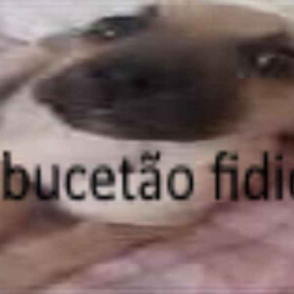 Chico tripa