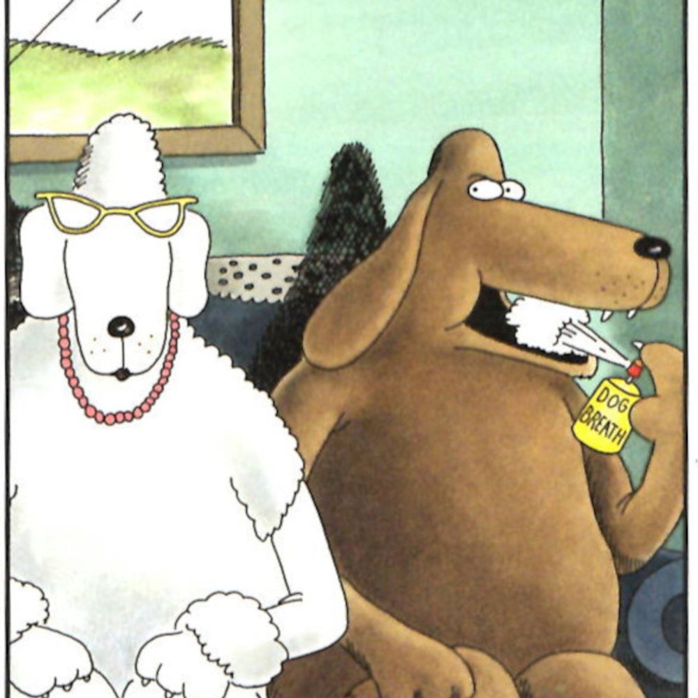mydogsky.bsky.social profile picture