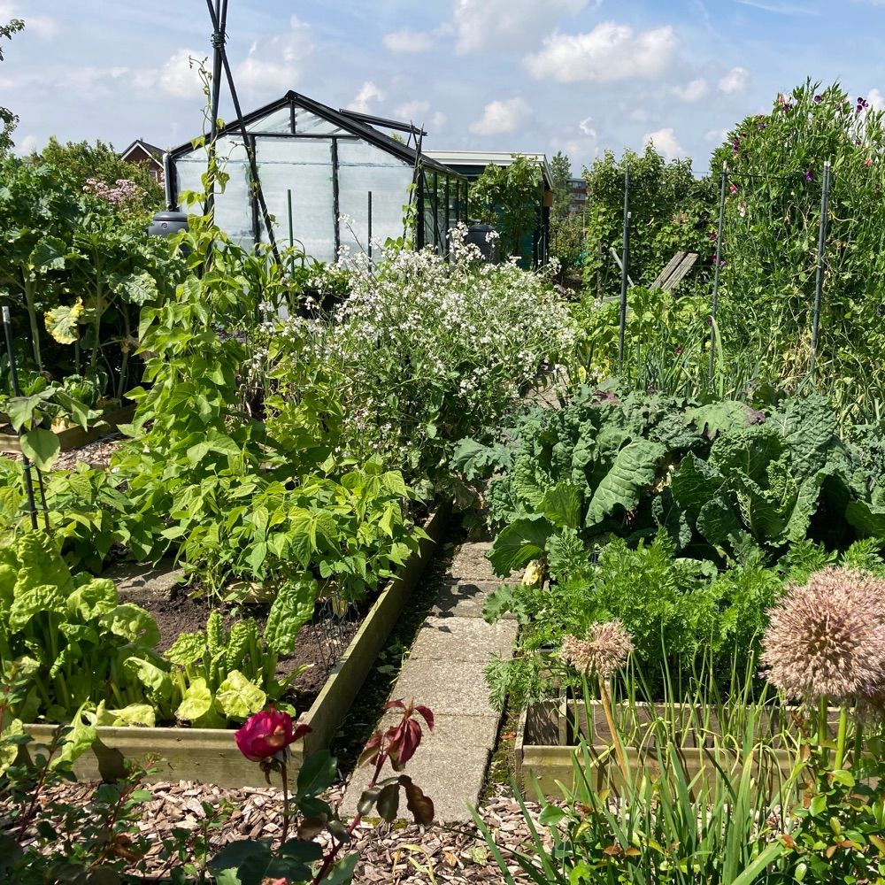 Moestuinder92