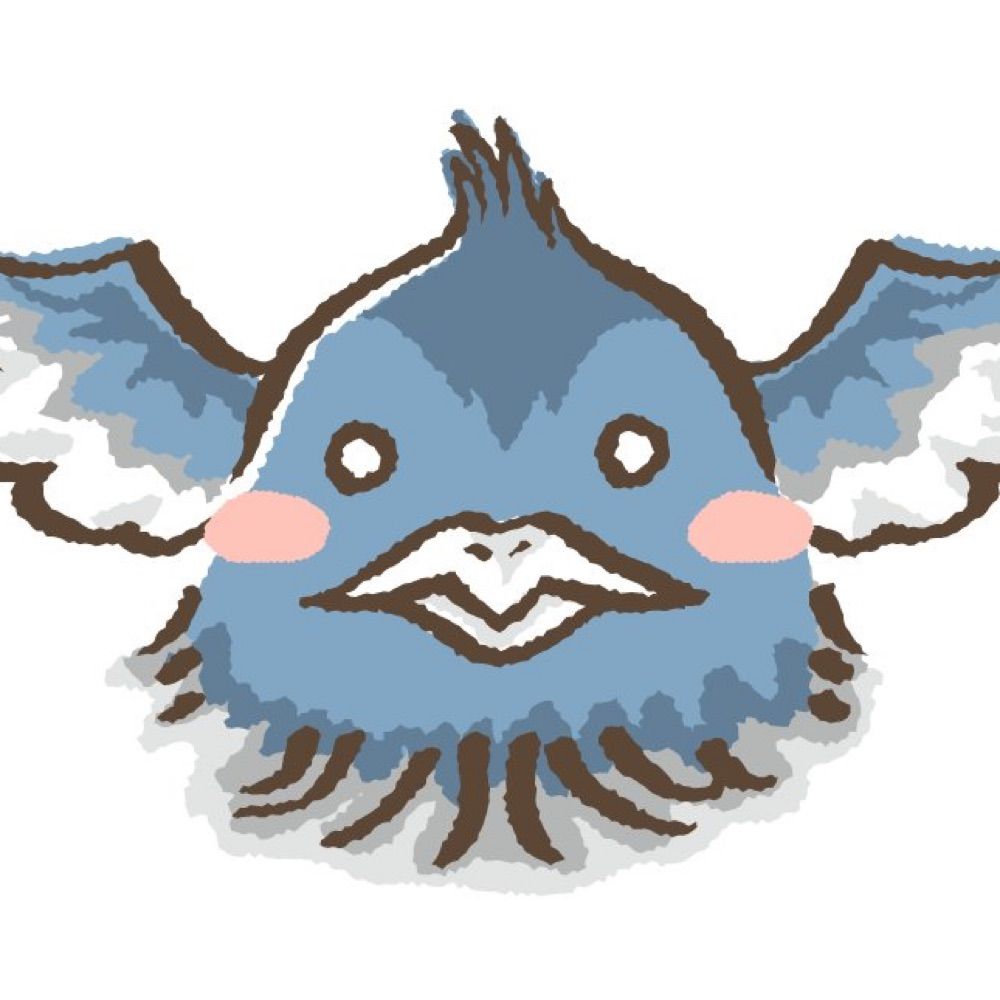 owl🦉