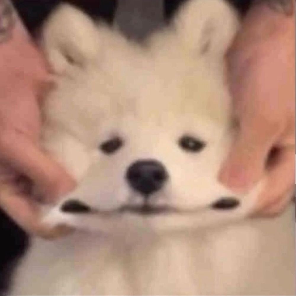 𝙟𝙚𝙡𝙡𝙮.