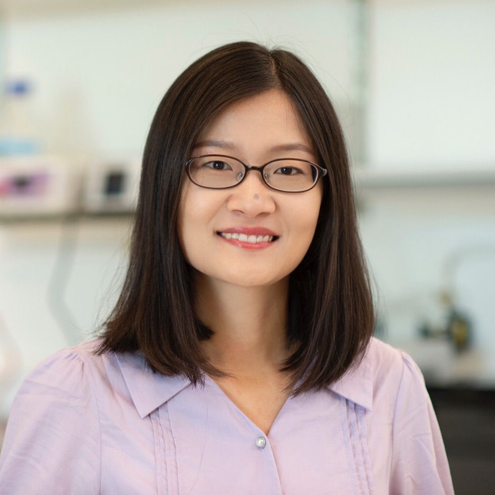 Suyang Zhang