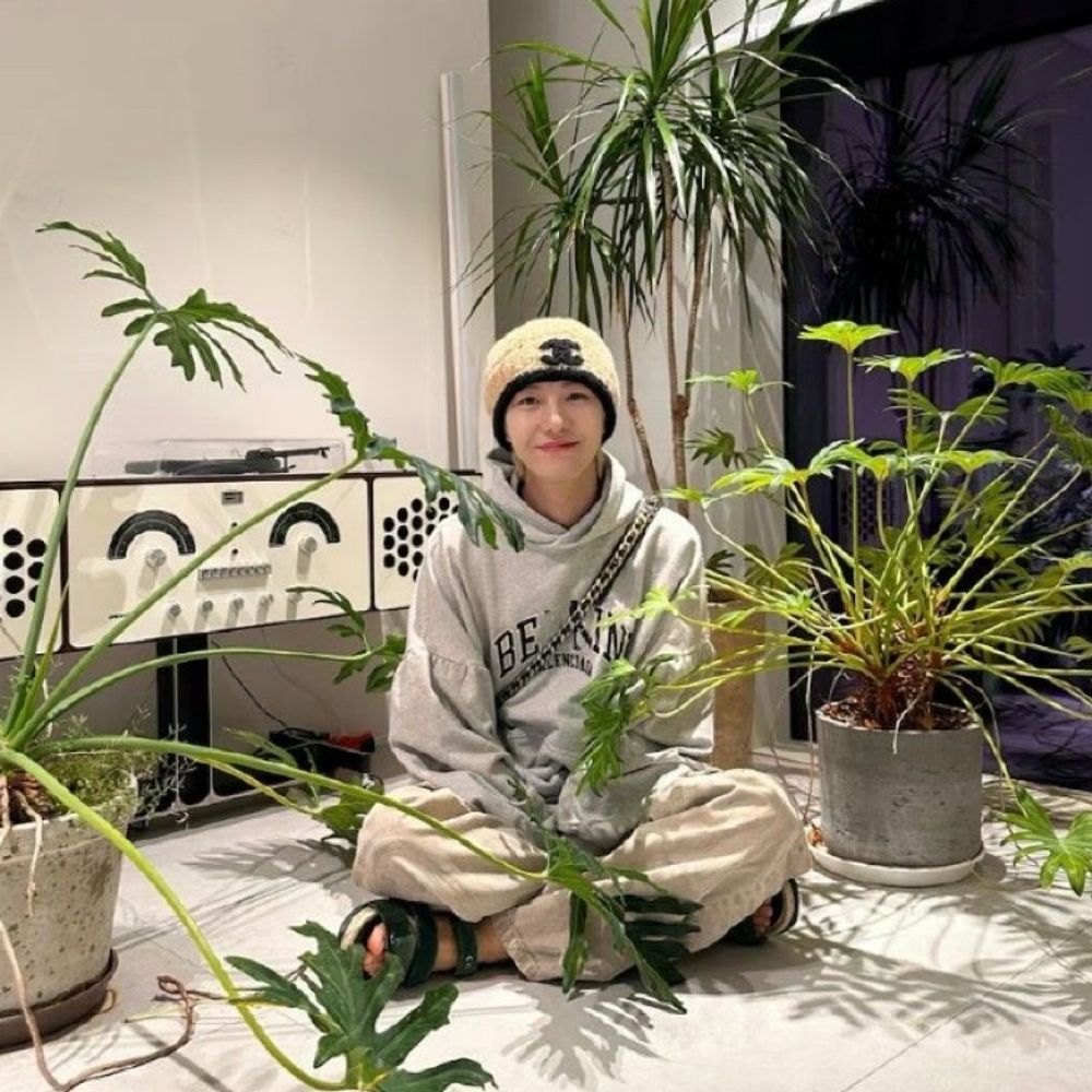 🥦赤い花🌹