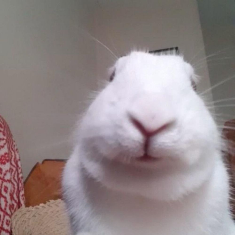 Ket