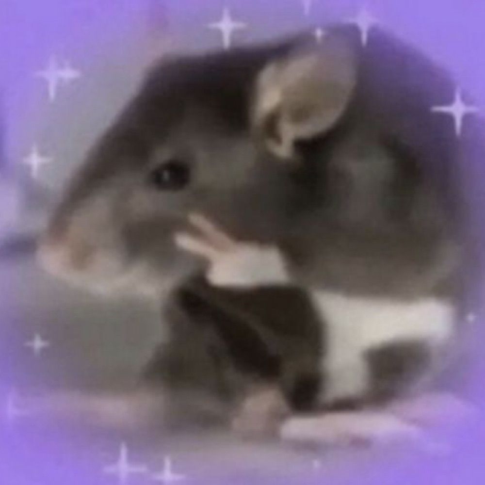 ⭐️
