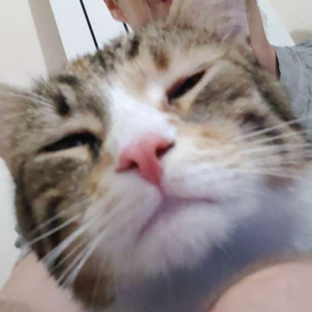 Marcaled