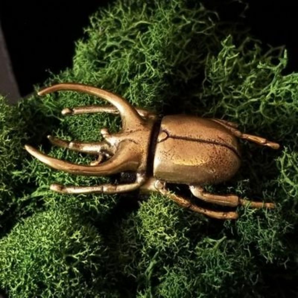 BIG BAD BEETLE BOLOS