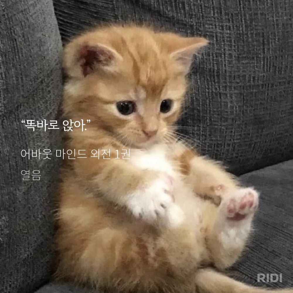 나린🍓