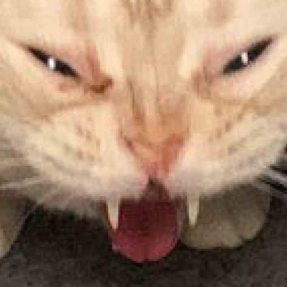 furryderg.bsky.social