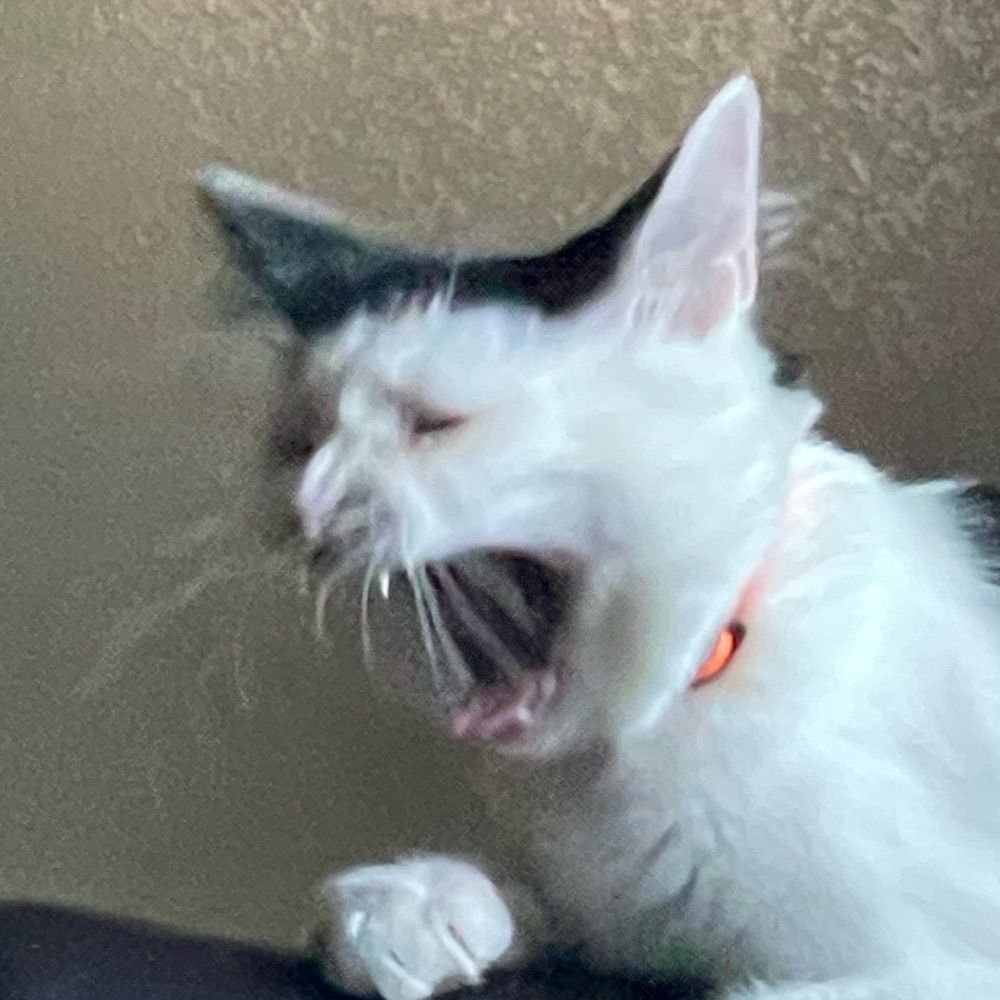 Dinkleberggg