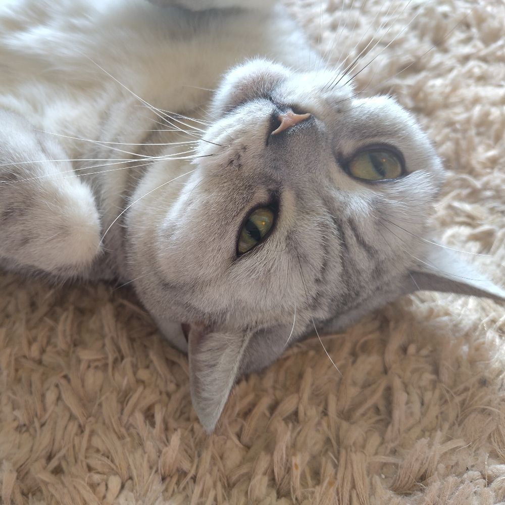 Ella