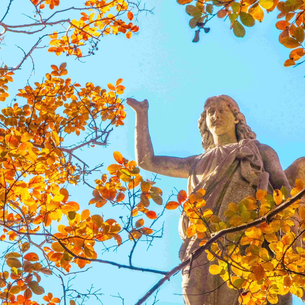 Elmwood Cemetery