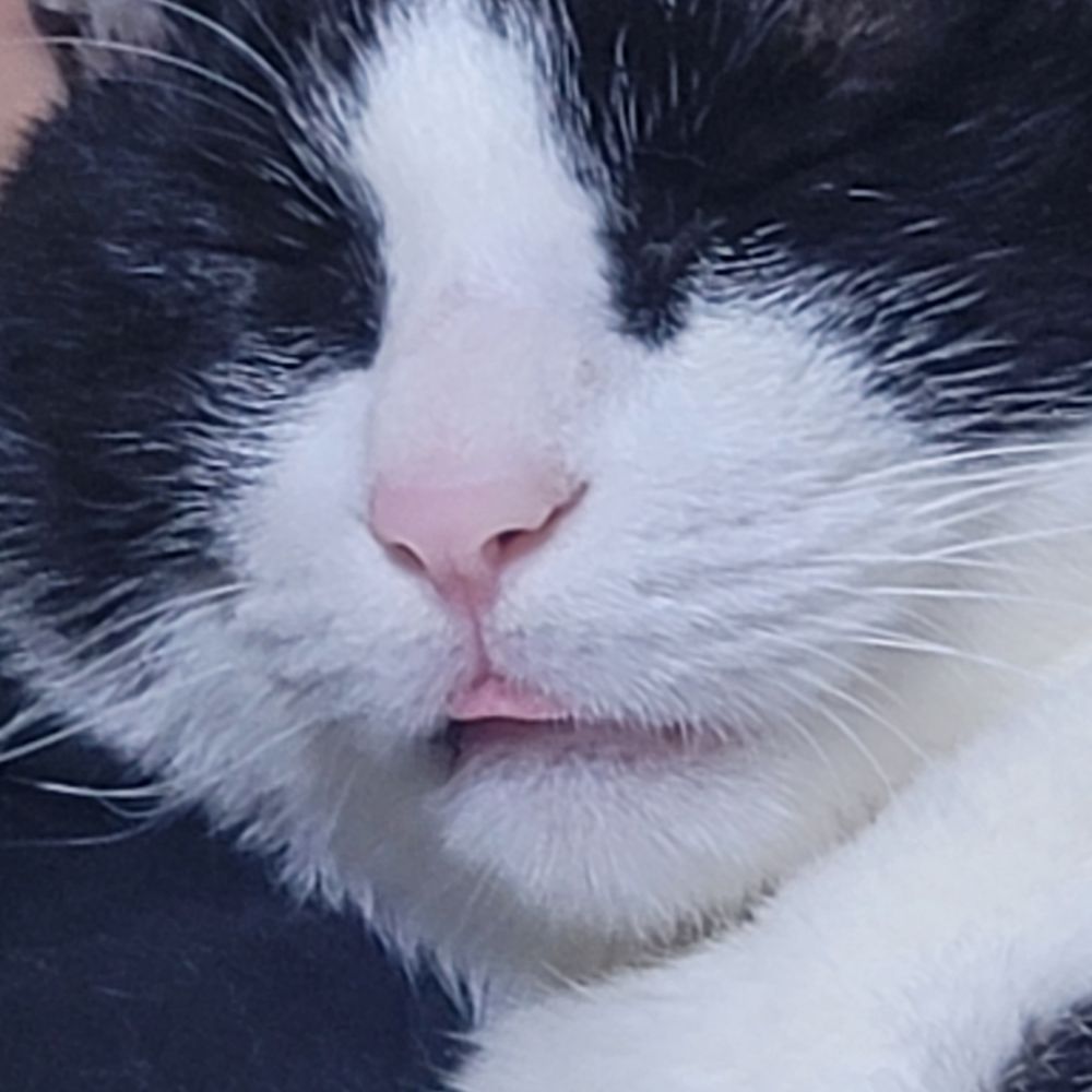 뷍