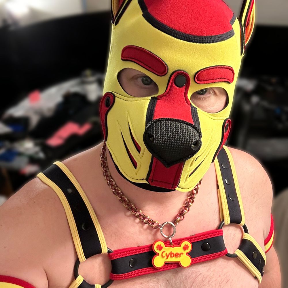 Pup Cyber