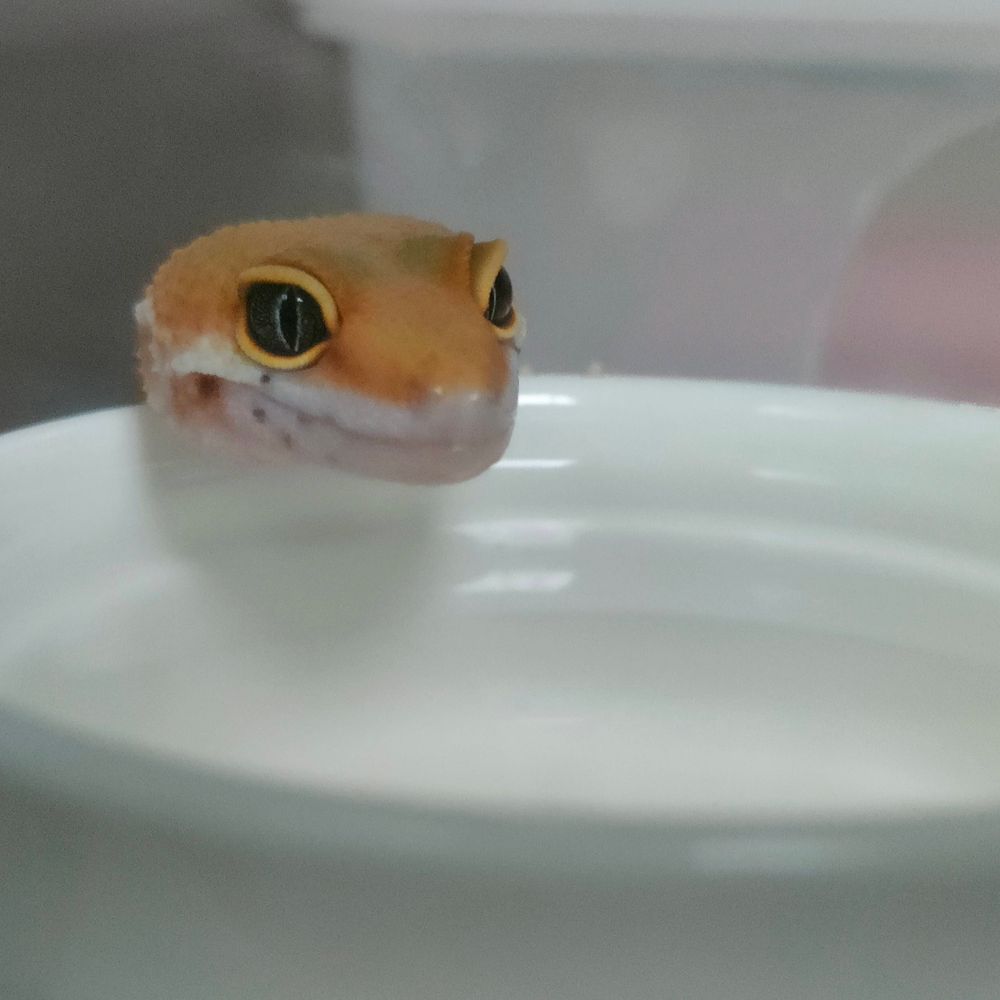 たっきゅん