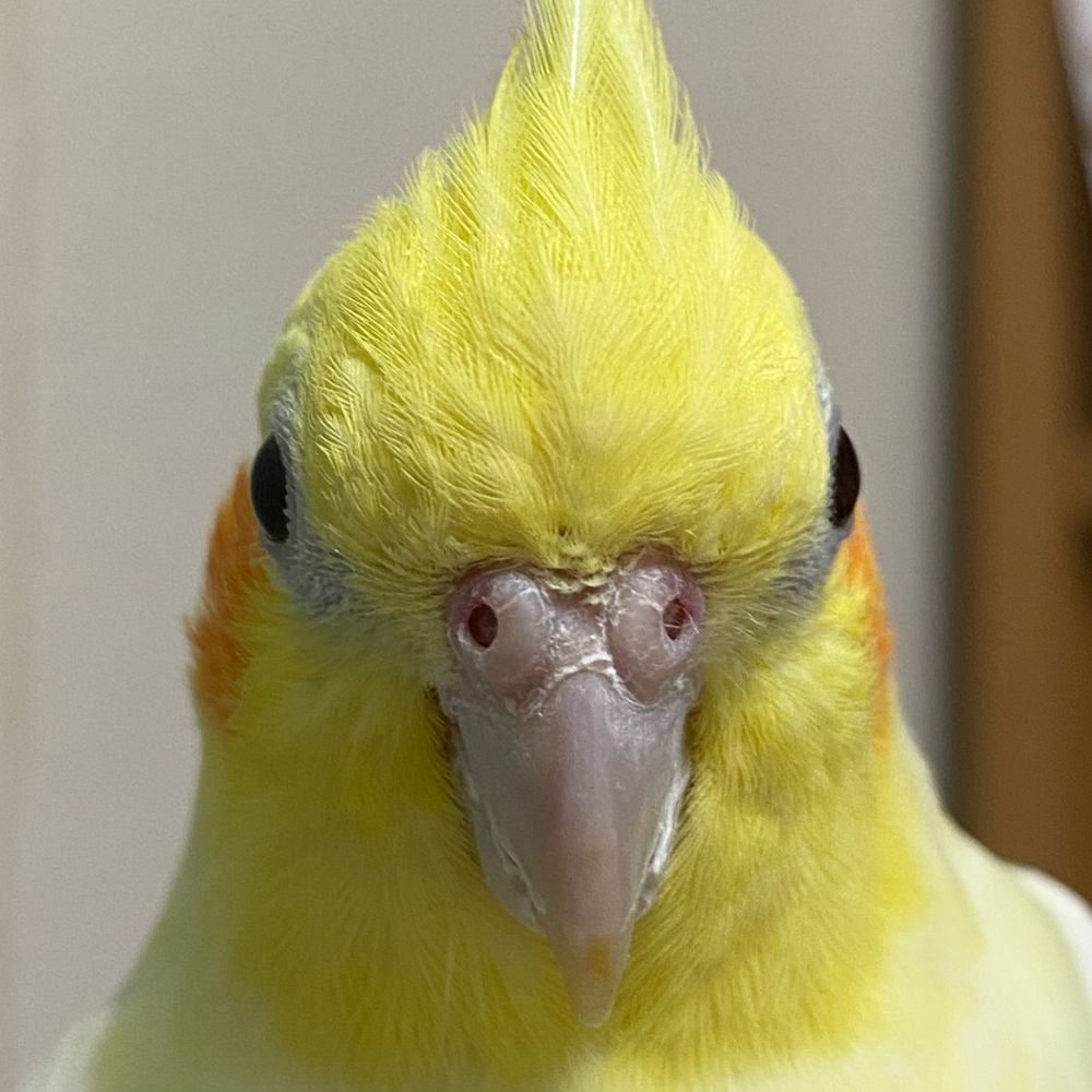 さんさん