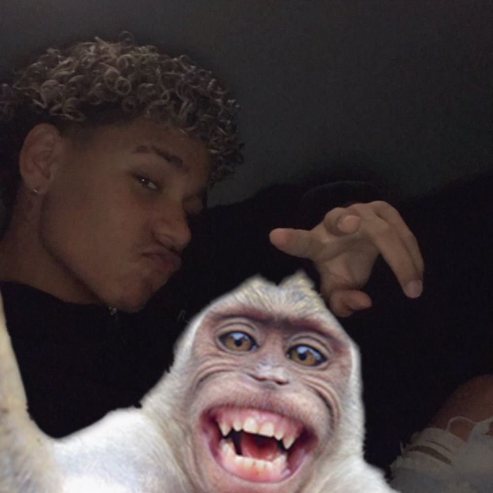 Wesleyzimmm