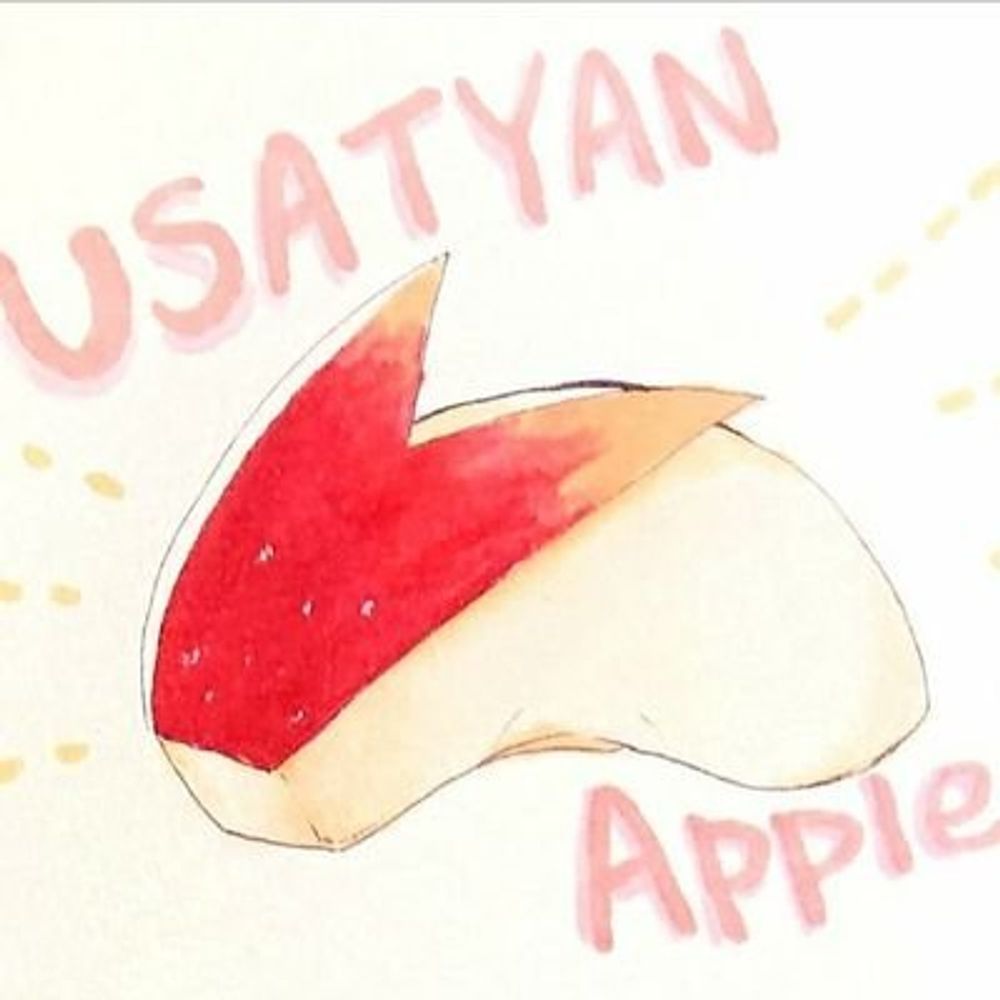 苫田にゅー太