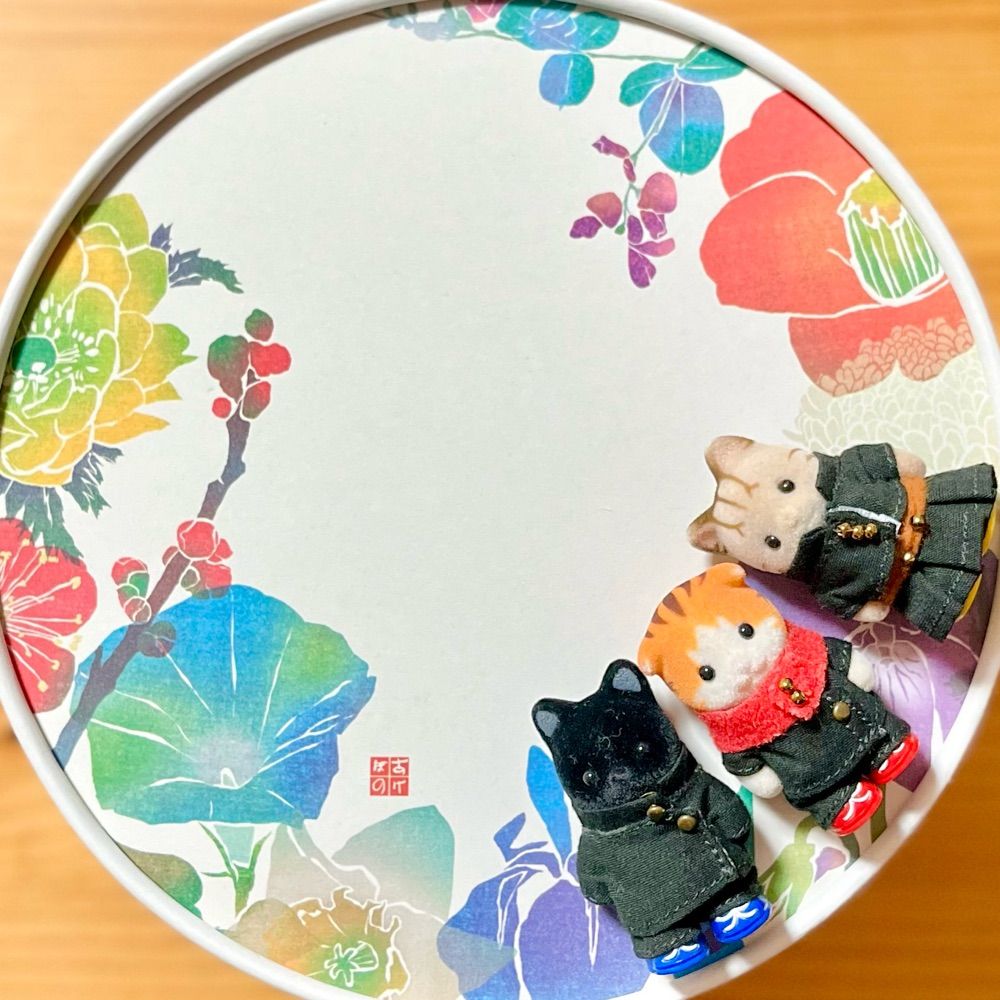 ぎょるい🐟