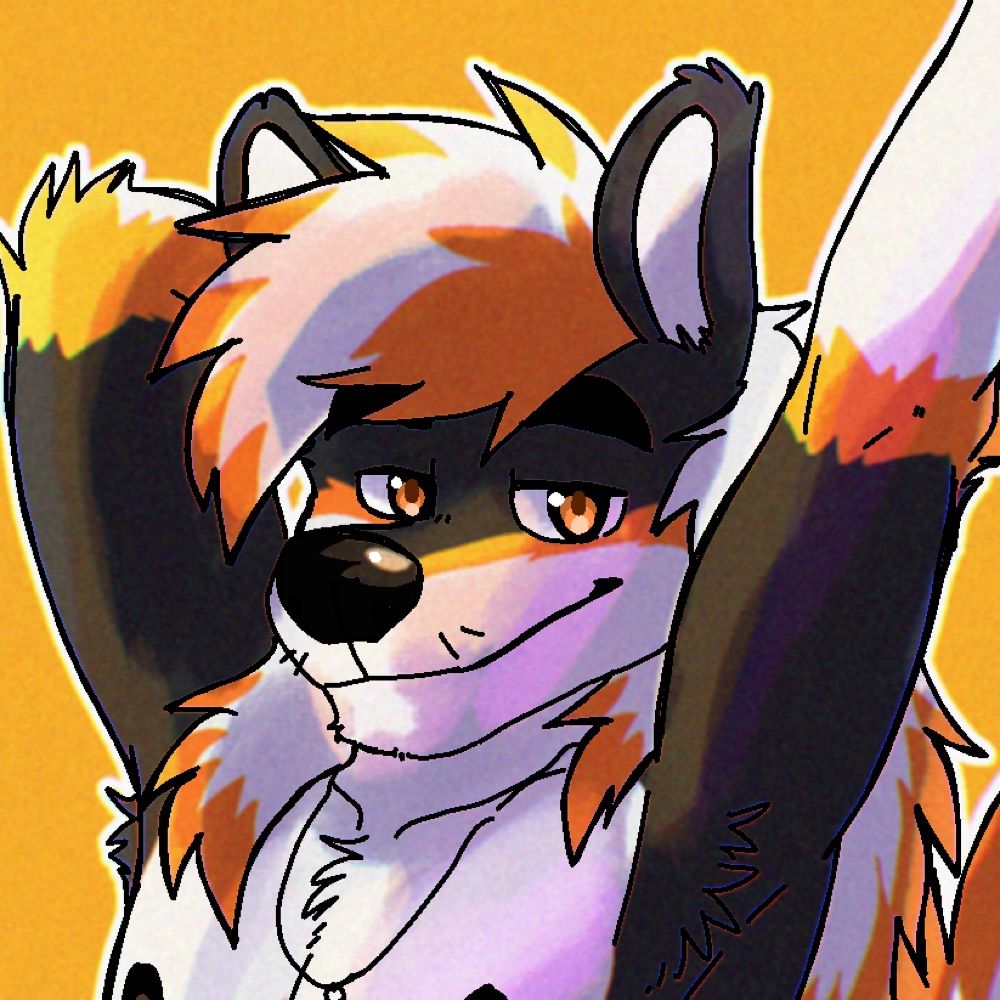 Toro 🧡🦨🧡