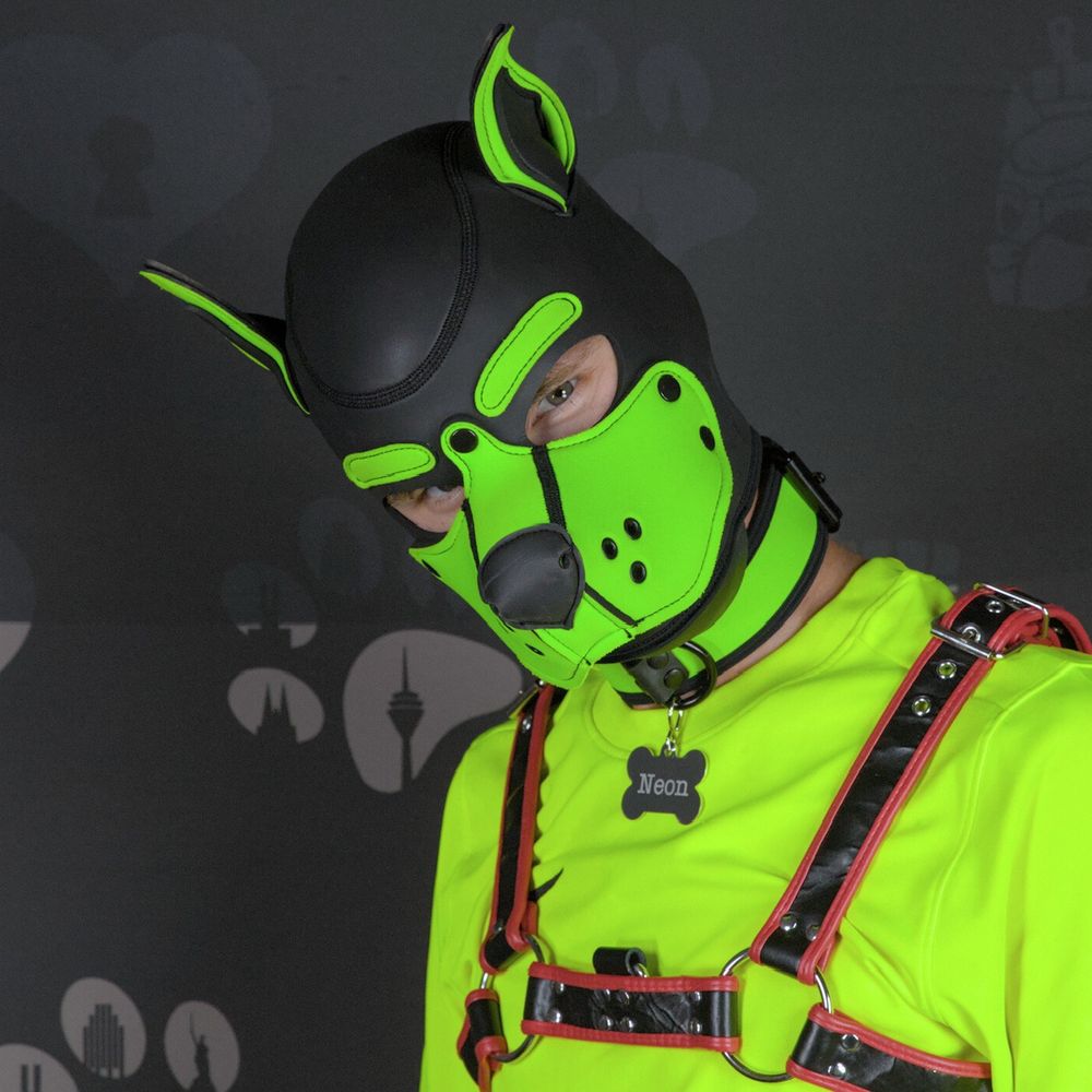 Pup Neon