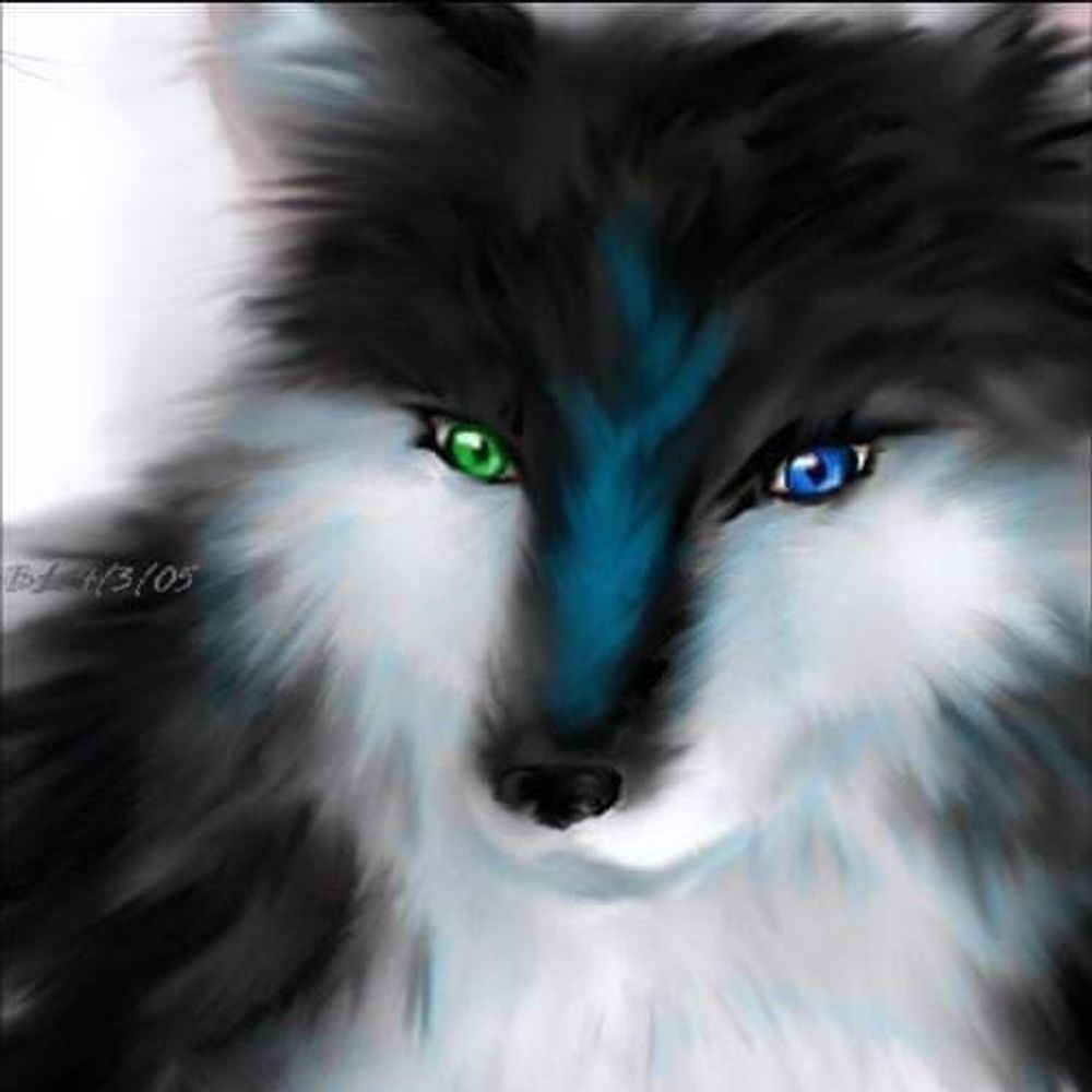 Chris Wolf