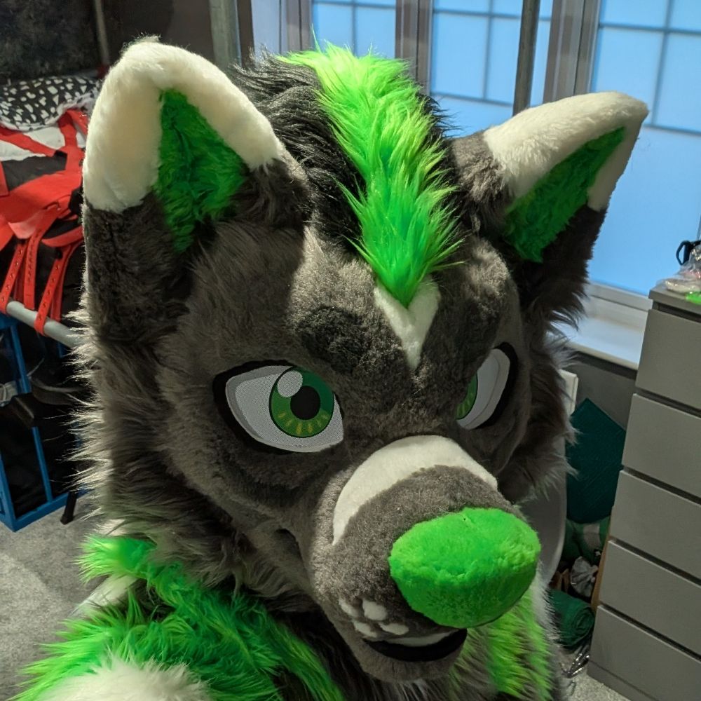 Husky sidis 🔜 Animalz & confuzzled