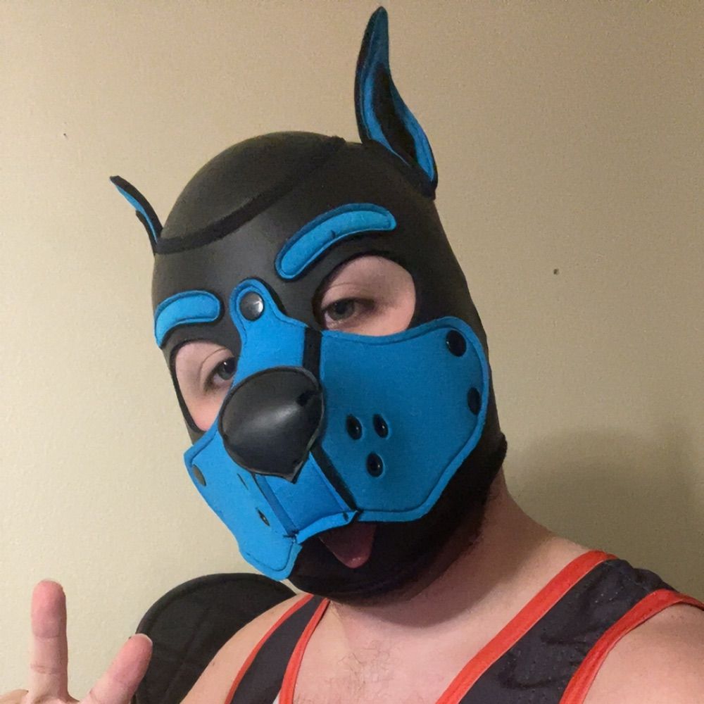 Cyan Skyhound