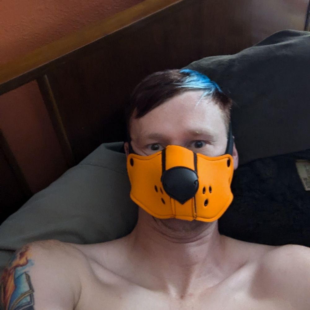 Pup Shadow 