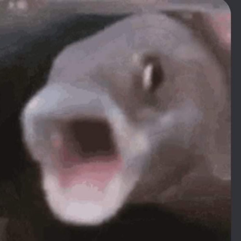 Ciki