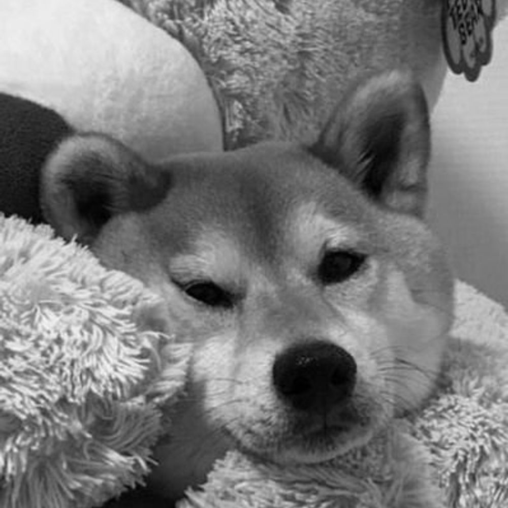 しがない業務SE