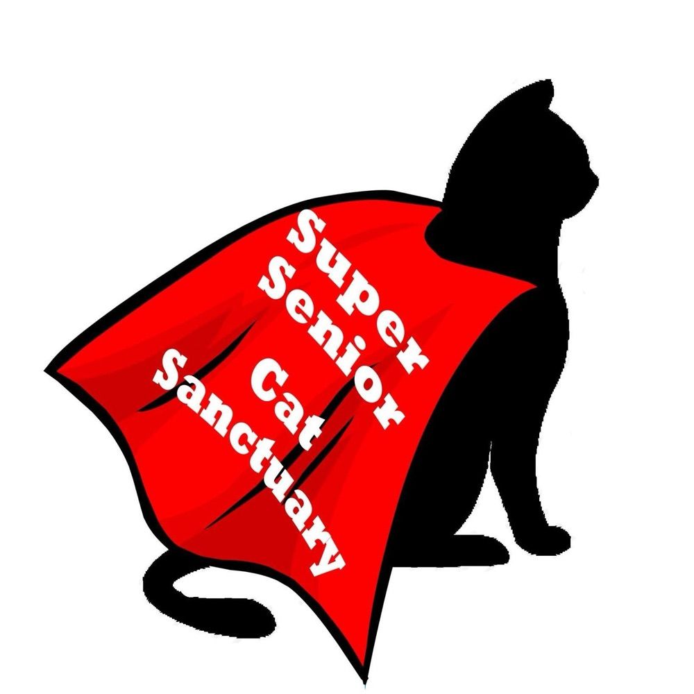 Super Senior Cat Sanctuary