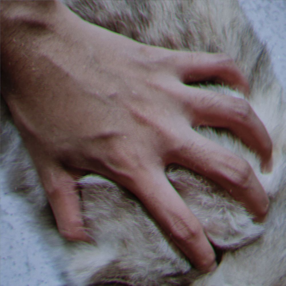 mqxi_199x