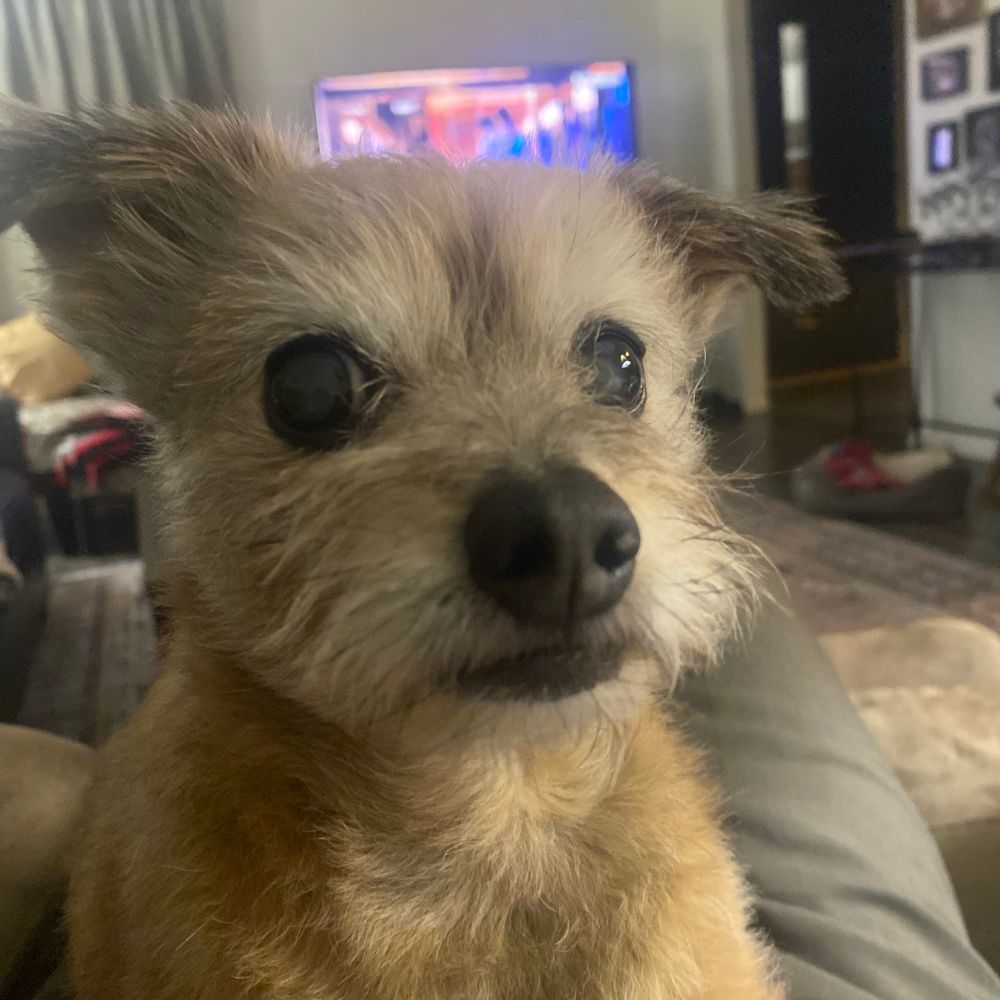 Doug