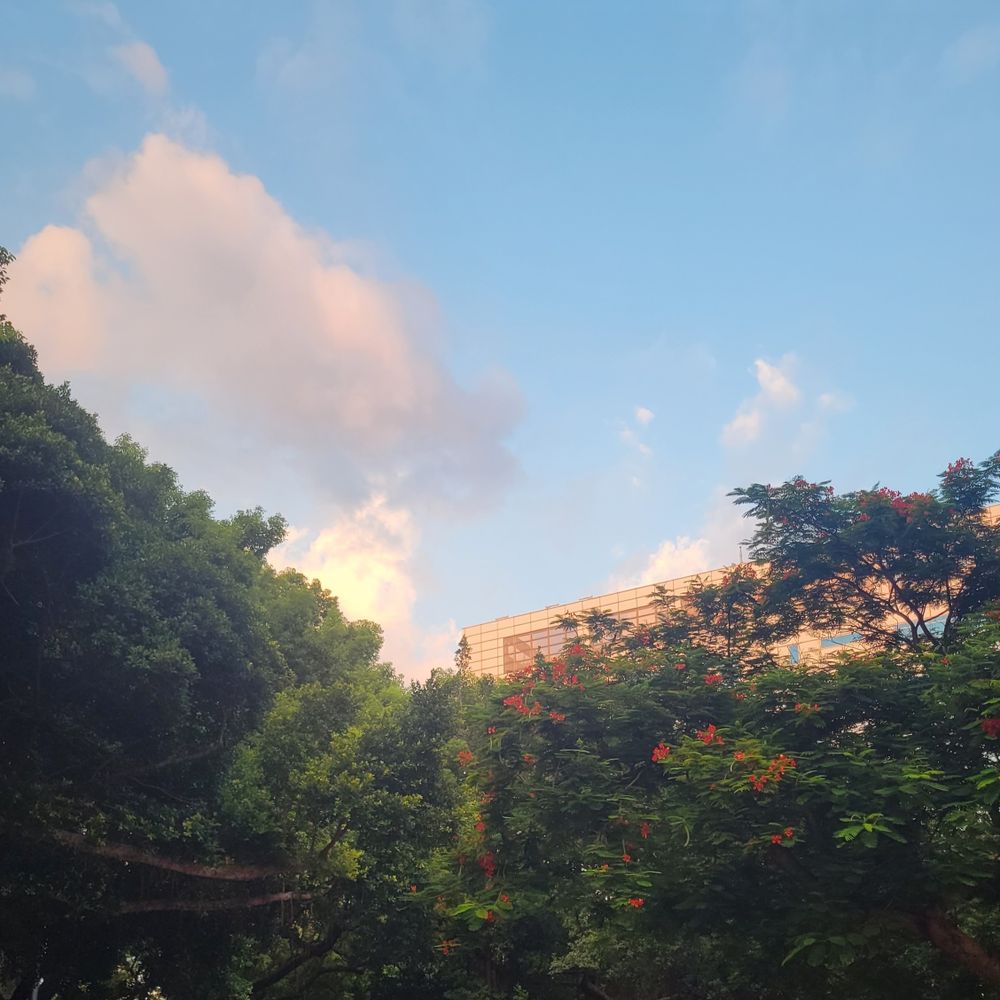 辰星