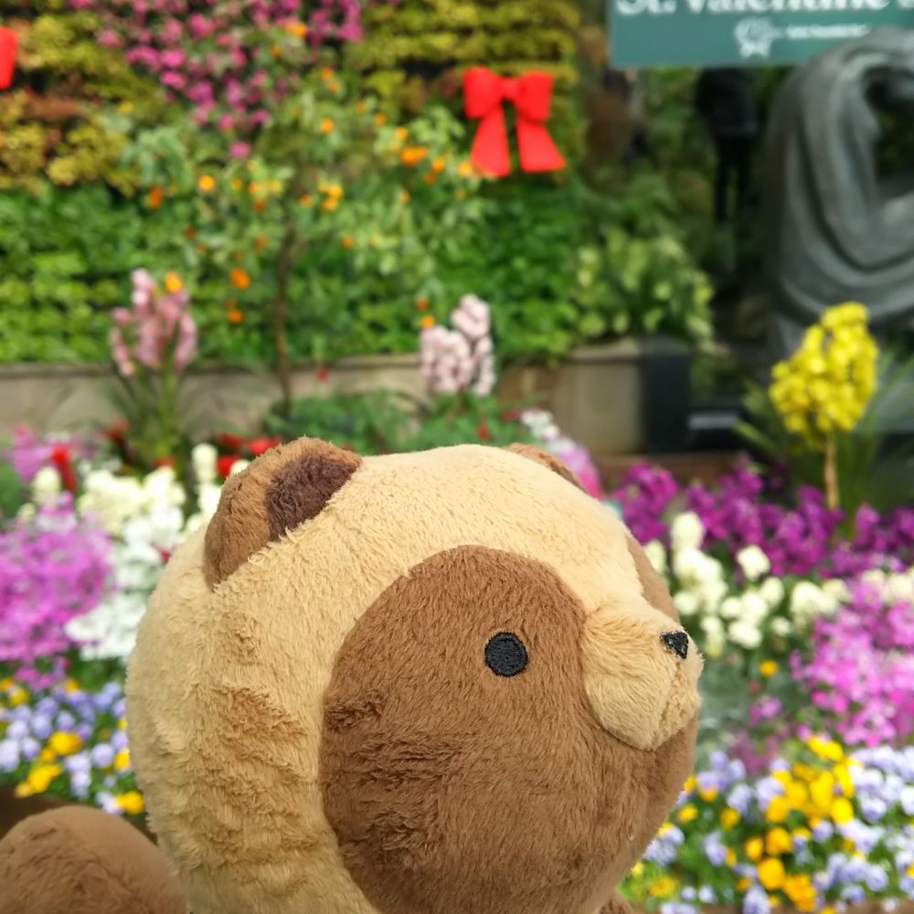 オミイ