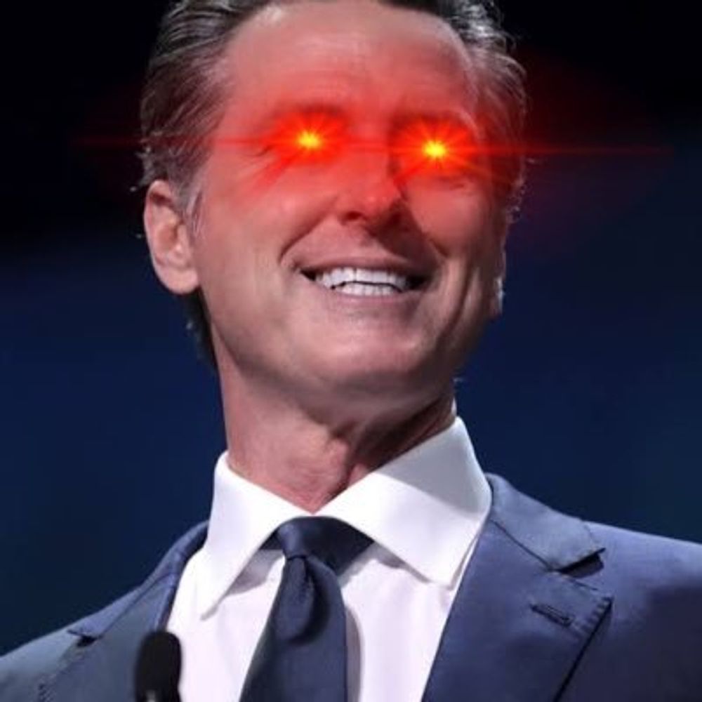 Gavin Newsom Fan