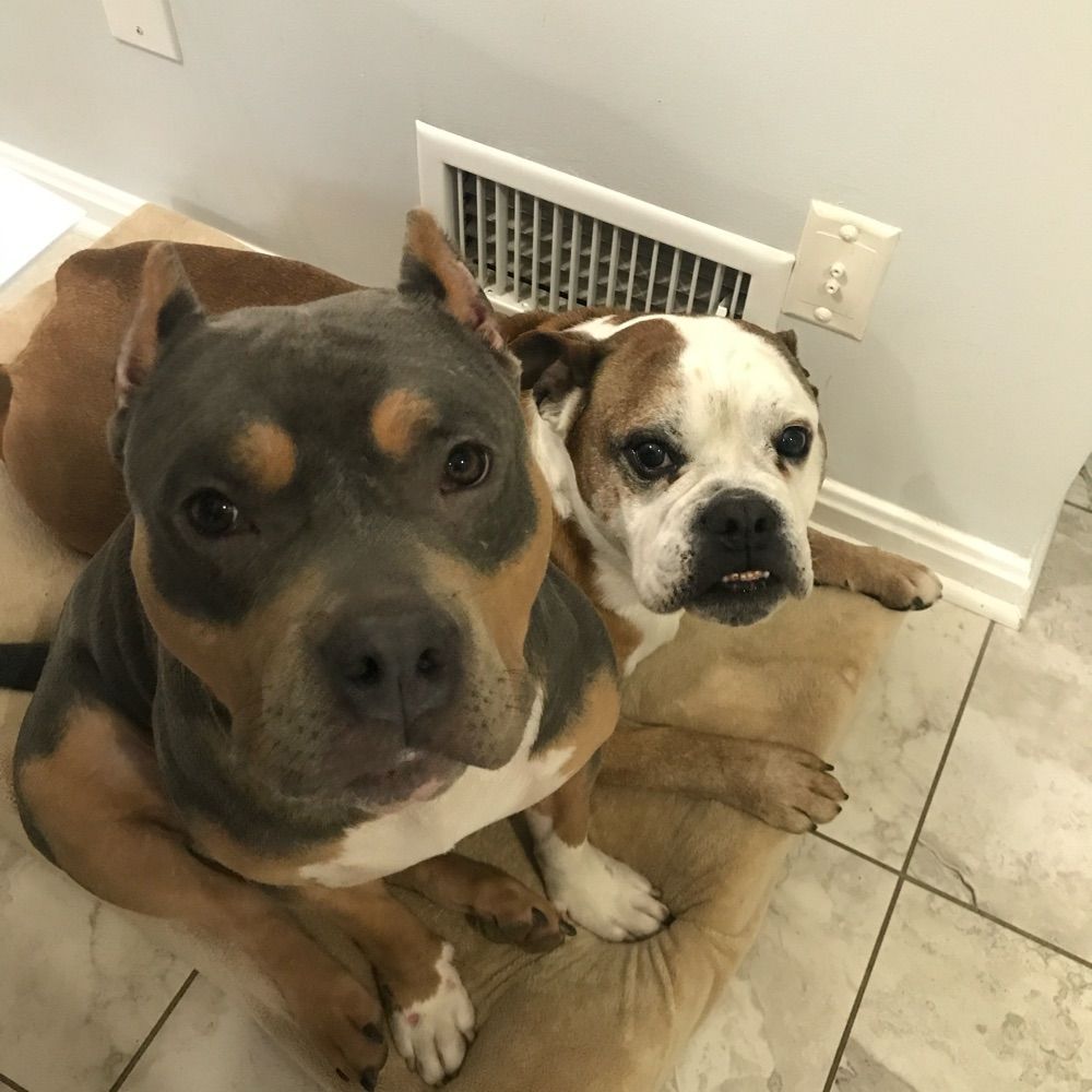 Rusty and Molly’s mom