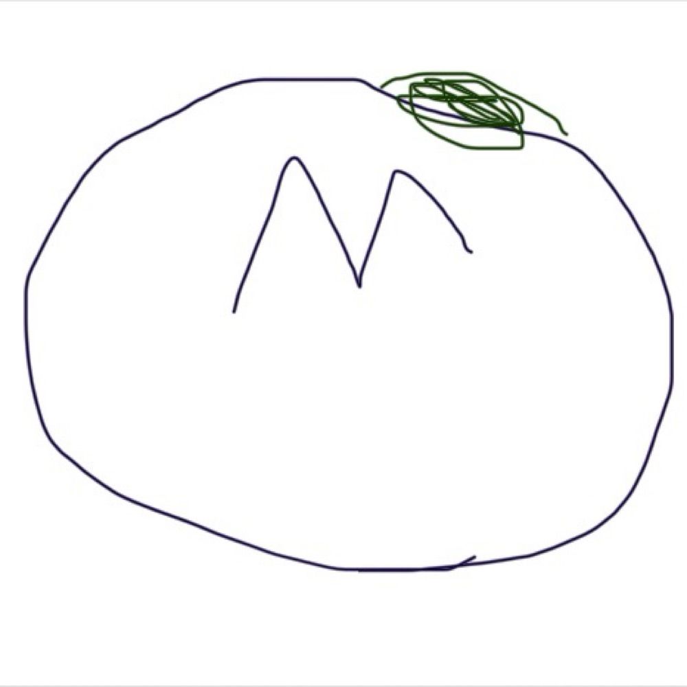 さざか