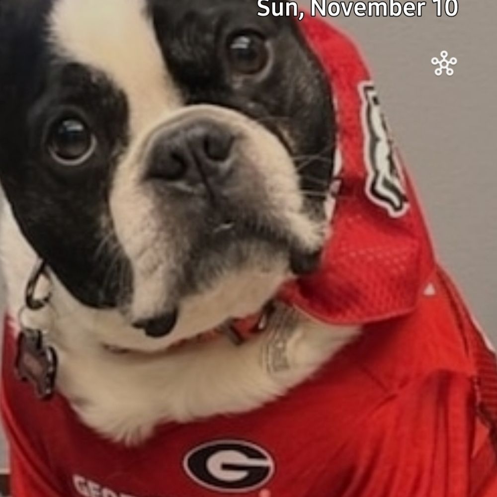 dawgbrad34